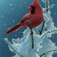 Птица зимой