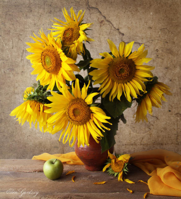 подсолнух - цветы - оригинал