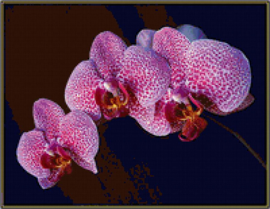 5 - орхидея - предпросмотр