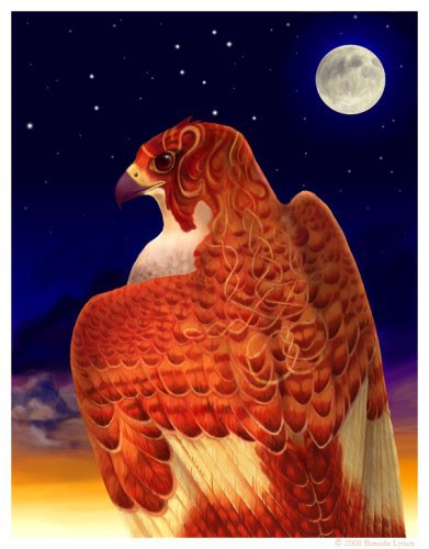 0044 - сокол, ночь, птицы, картина, природа - оригинал