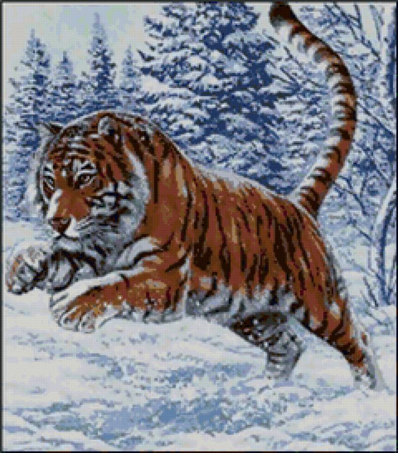 Большие кошки - зима, кот, лес, тигр, снег - предпросмотр