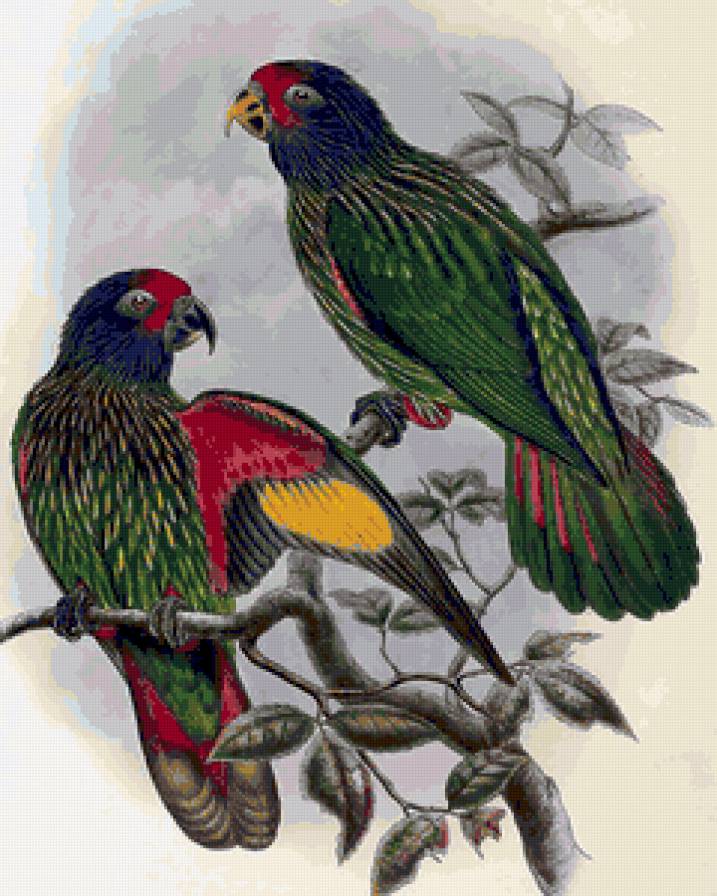 №152776 - птицы, пейзаж, животные - предпросмотр