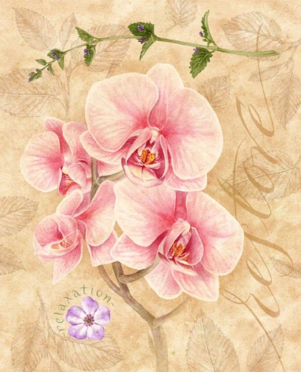орхидеи - орхидеи, акварель, цветы, живопись, нежные лепестки, панно - оригинал