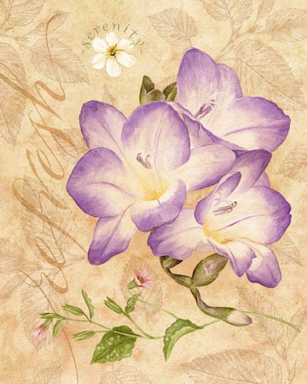 Нежные лепестки - цветы, цветы и бабочки, бабочка, весенние цветы, букет, фрезии - оригинал