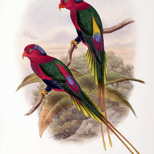 Схема вышивки «birds»