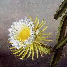 Схема вышивки «flowers»