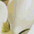 Предпросмотр схемы вышивки «flowers» (№152827)