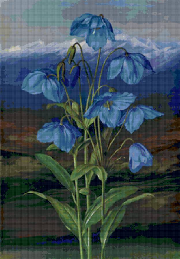 flowers - предпросмотр