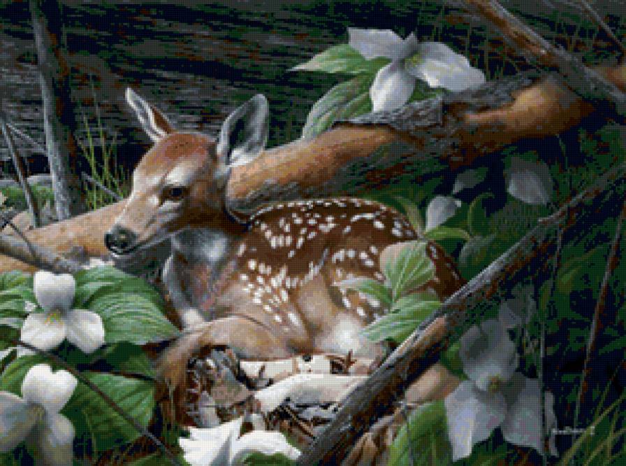 in the forest - предпросмотр