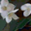 Предпросмотр схемы вышивки «flowers» (№152867)