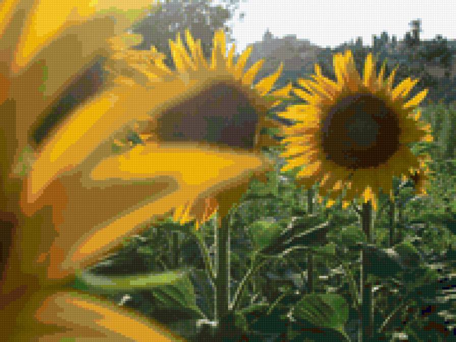 Подсолнухи - панно, подушка, подсолнухи, цветы - предпросмотр