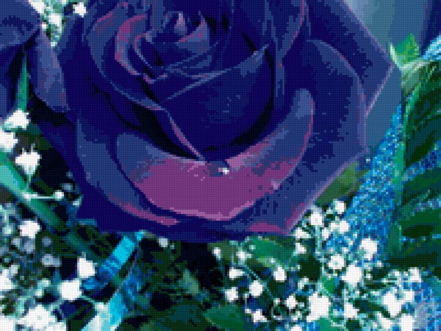 синяя роза - цветы, синяя роза - предпросмотр
