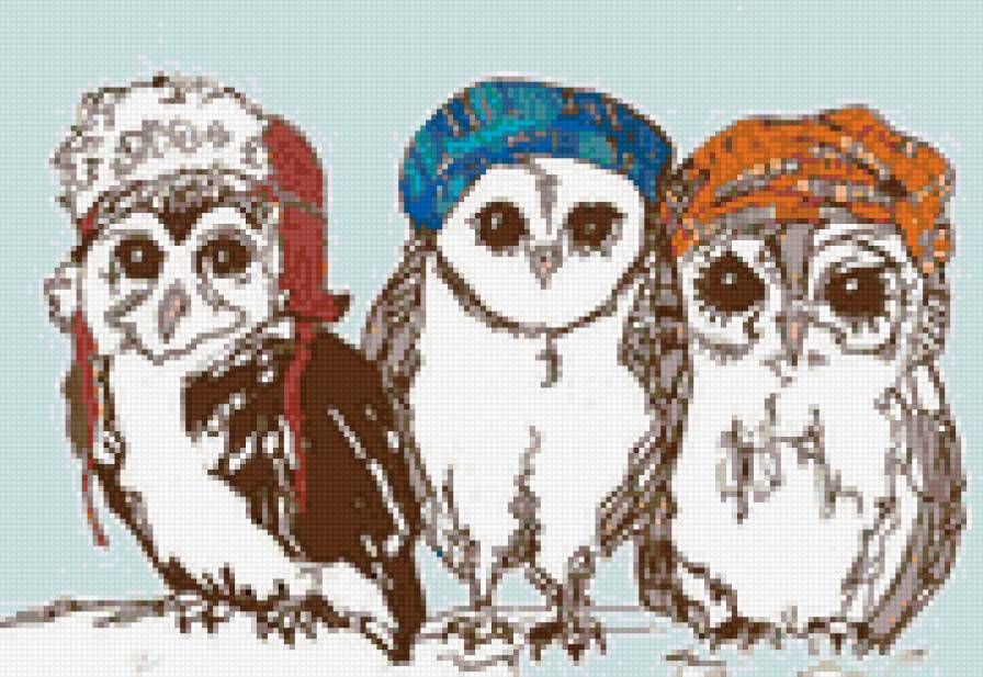 совы-хипстеры - хипстер, сова - предпросмотр