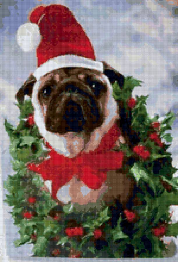 Новогодний мопс - собака, праздник, мопс - предпросмотр