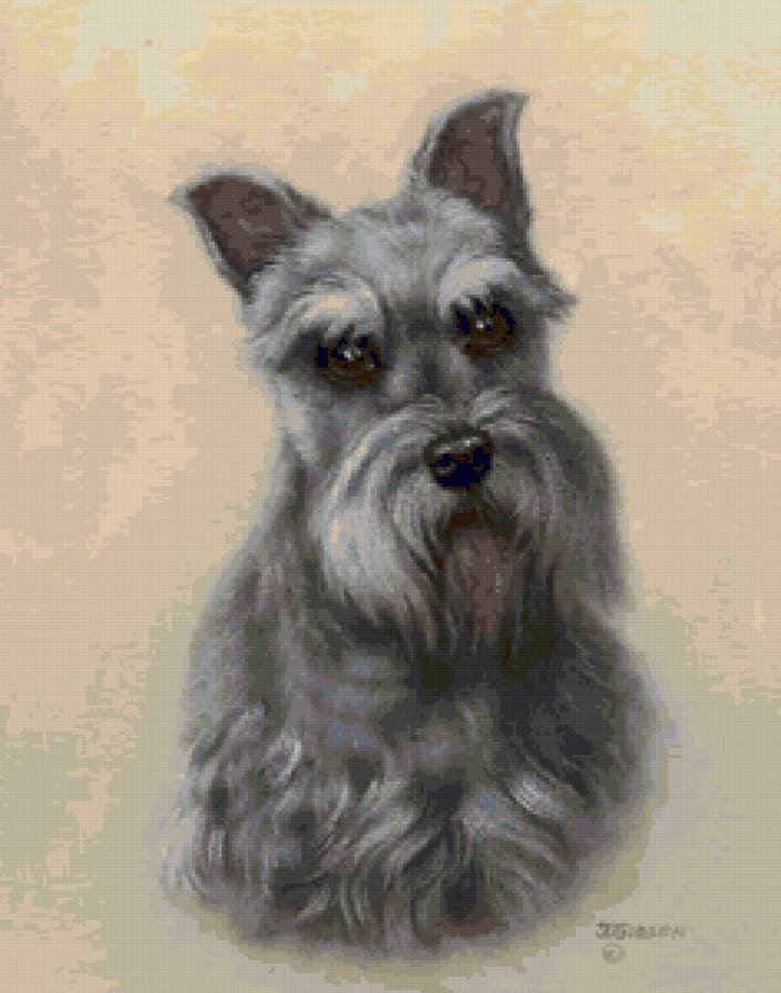 наши братья - картина, животные - предпросмотр