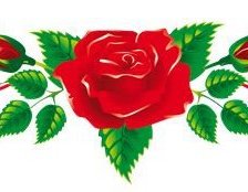 Оригинал схемы вышивки «Розы для скатерти» (№153337)