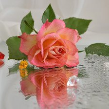 Схема вышивки «Роза на стекле»