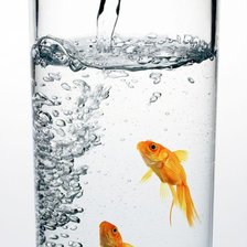 Схема вышивки «рыбки»