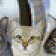 Предпросмотр схемы вышивки «коты» (№154001)
