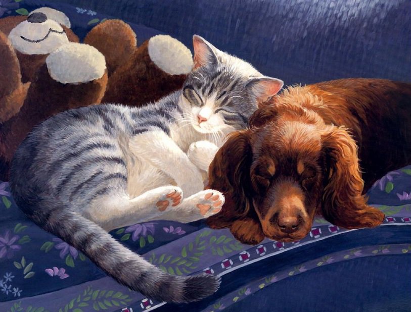 коты - животные - оригинал