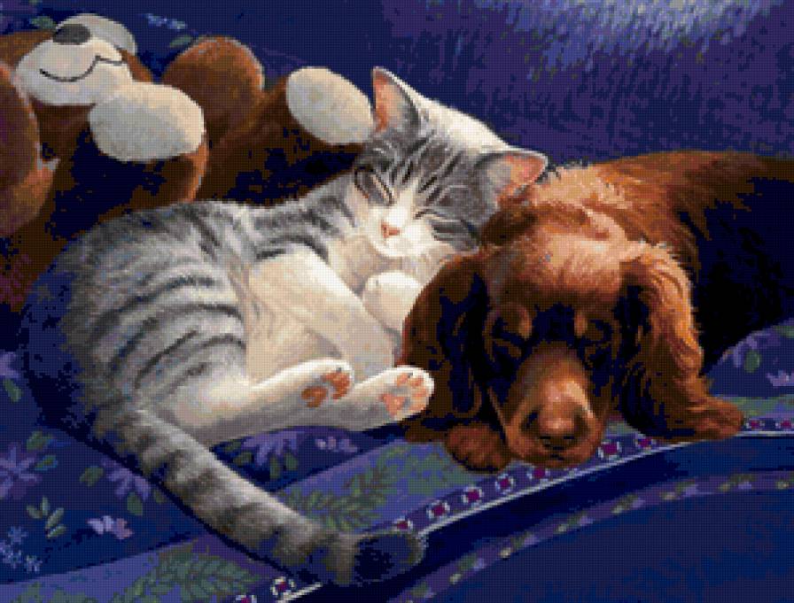 коты - животные - предпросмотр