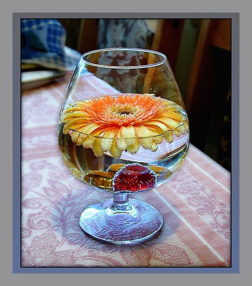 цветы в бокале - бокал, гербера, цветок - оригинал