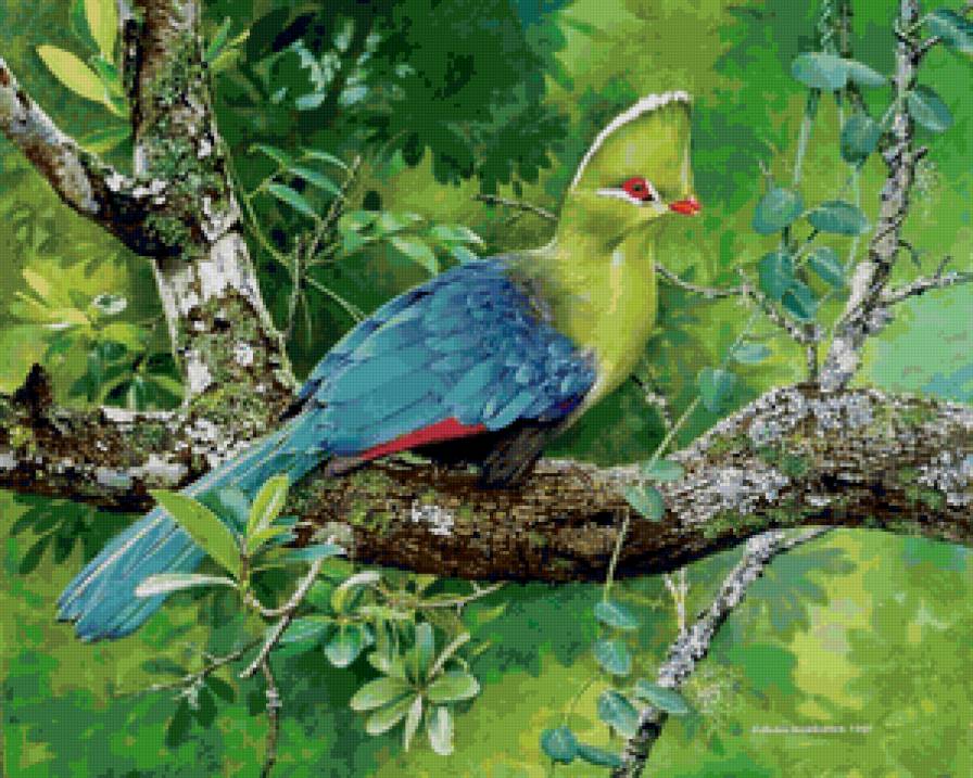 №154308 - предпросмотр