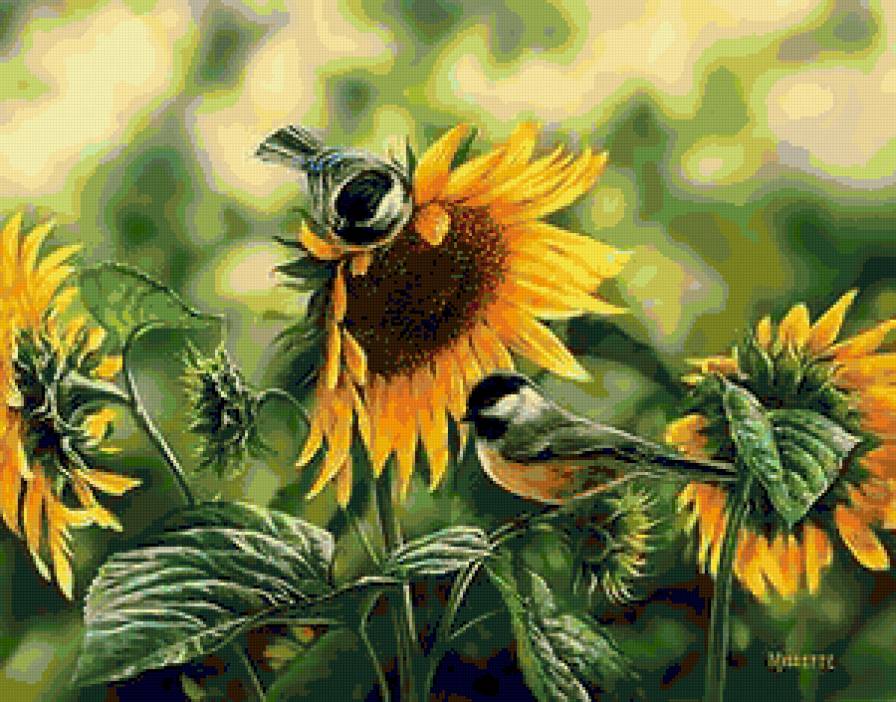 Синички и подсолнух - подсолнух, подсолнухи, птички, синички, цветы, птицы, природа - предпросмотр