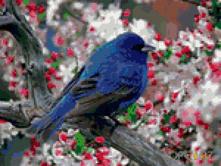 райская птичка - цветы, птица - предпросмотр