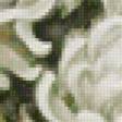 Предпросмотр схемы вышивки «Хризантемы» (№154476)