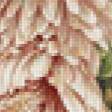 Предпросмотр схемы вышивки «Хризантемы» (№154479)