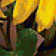 Предпросмотр схемы вышивки «Подсолнухи» (№154596)
