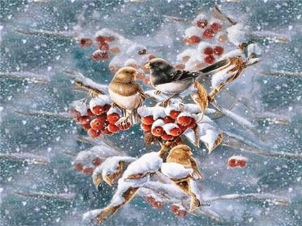 Птички на ветке рябины - птица, рябина, снег, зима - оригинал