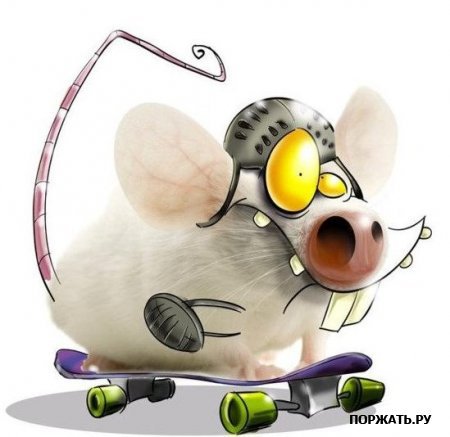 Приколы - оригинал