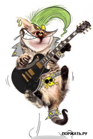 Приколы - оригинал