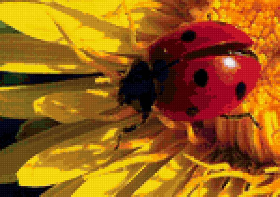 Божья коровка - насекомые, природа - предпросмотр