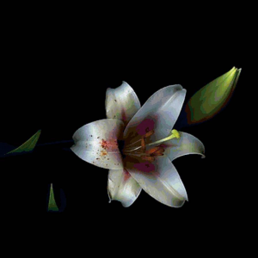 №154876 - предпросмотр