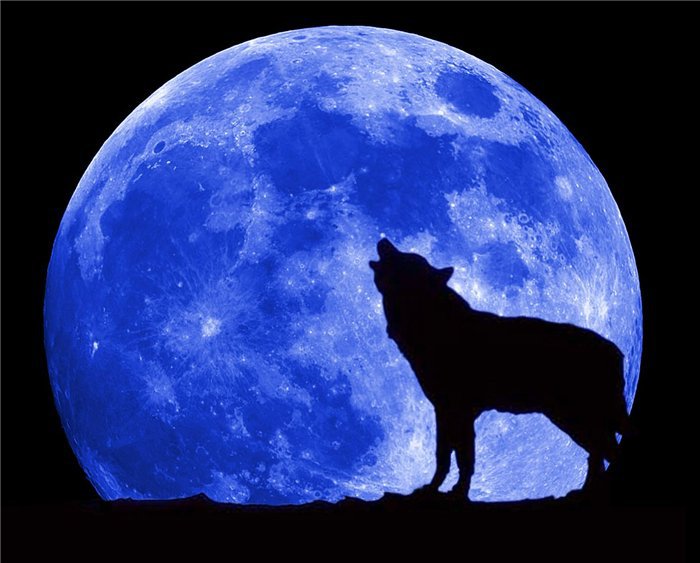 Лунная песня - ночь, луна, волк - оригинал