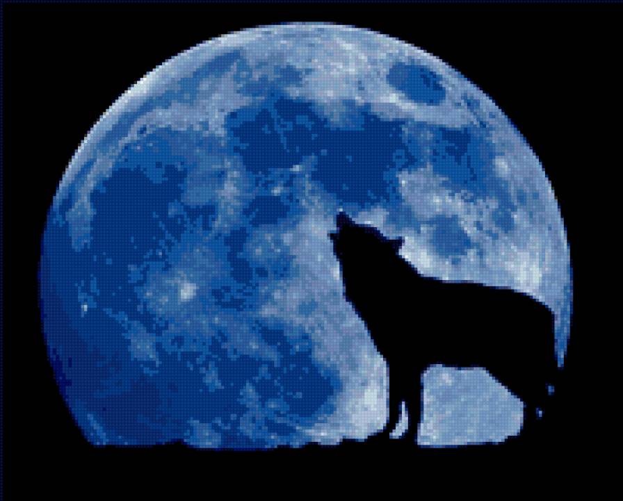 Лунная песня - волк, луна, ночь - предпросмотр