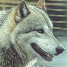 Оригинал схемы вышивки «волк» (№154988)