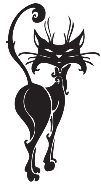 Кошечка - кошка, черно-белое, звери, кот, животные - оригинал