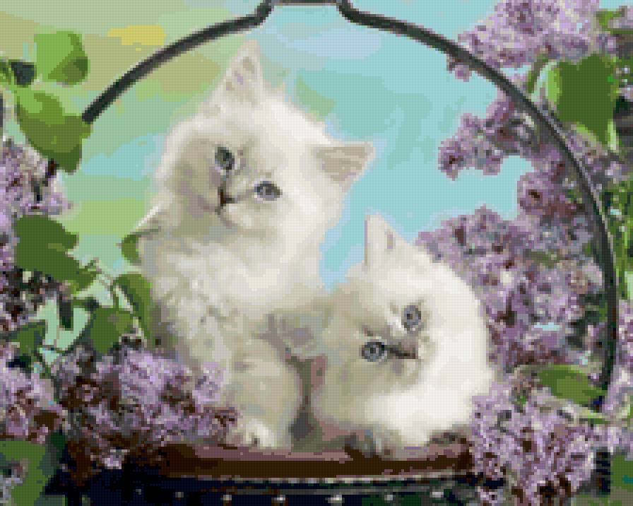 киски - цветы, кошки - предпросмотр