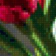 Предпросмотр схемы вышивки «Тюльпаны» (№155272)