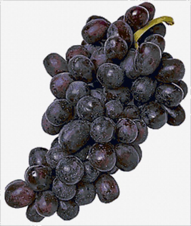Виноград - фрукты, гроздь, виноград - предпросмотр