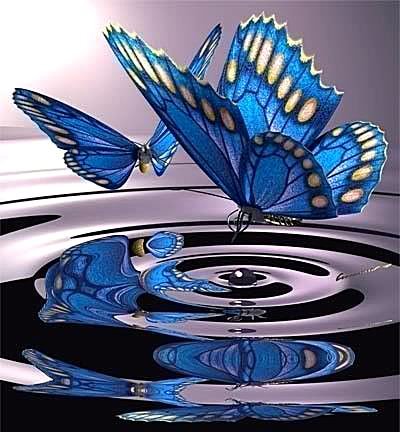 Бабочки - всплеск, вода, бабочки, отражение - оригинал