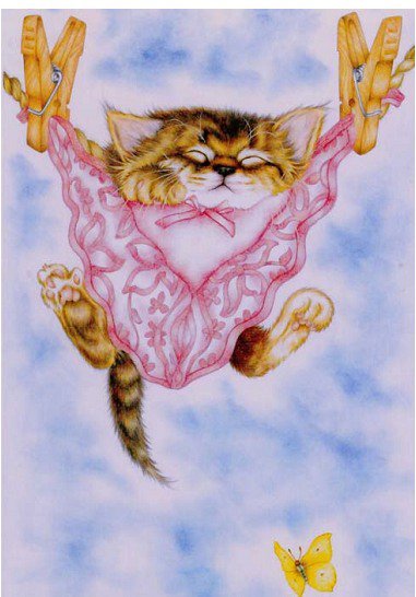 котенок - кошки - оригинал