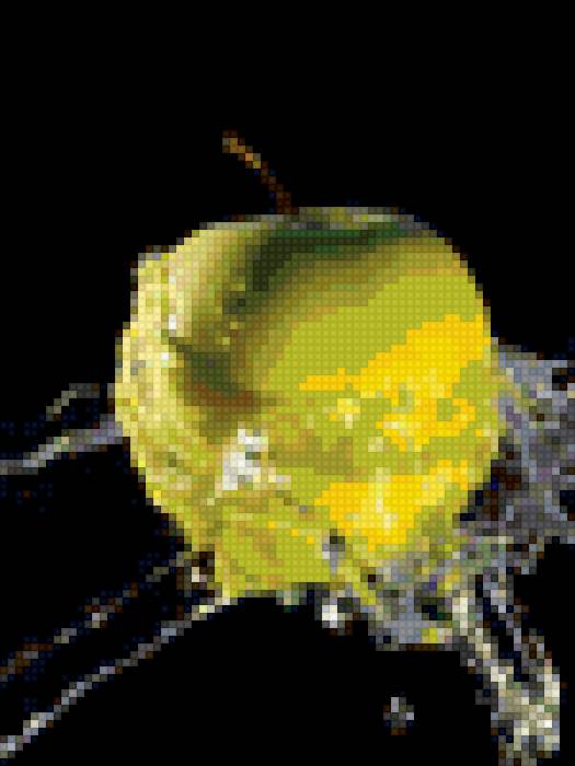 яблоко - вода, яблоко - предпросмотр