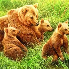 Схема вышивки «№155902»