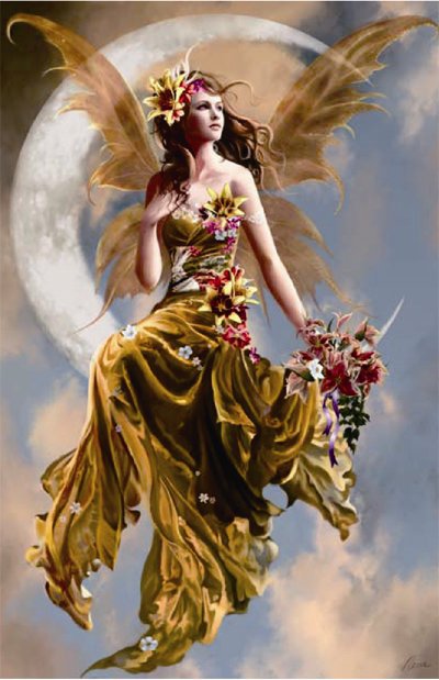 анел - оригинал