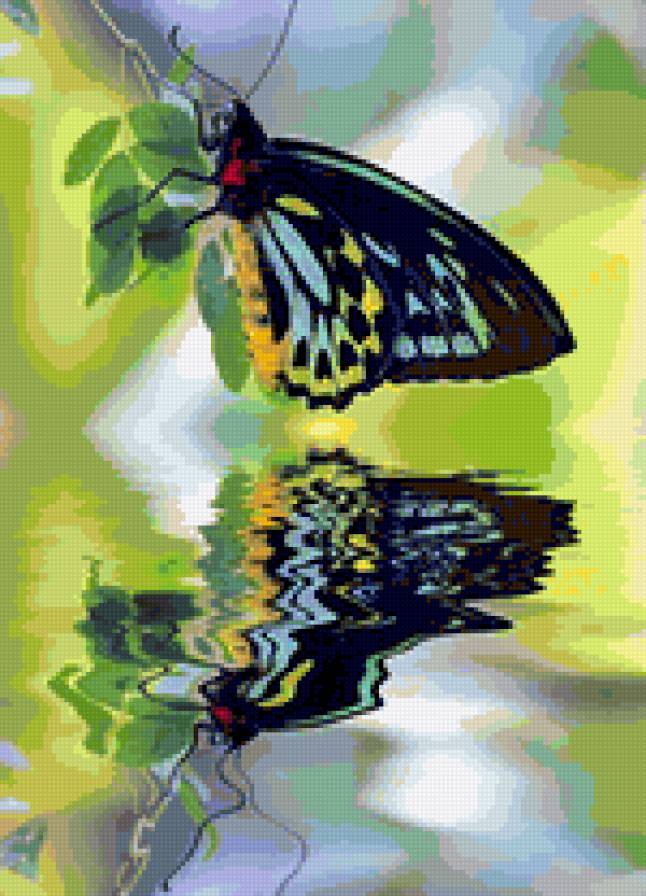 Бабочка над водой - бабочка, природа - предпросмотр